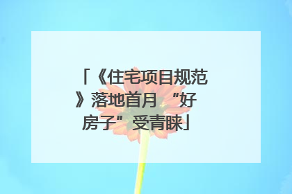 《住宅项目规范》落地首月 “好房子”受青睐
