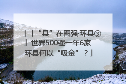 「“县”在图强·环县③」世界500强一年6家 环县何以“吸金”？