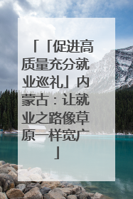 「促进高质量充分就业巡礼」内蒙古：让就业之路像草原一样宽广