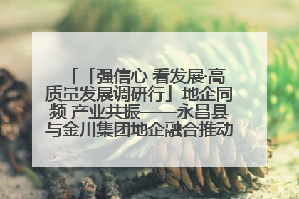 「强信心 看发展·高质量发展调研行」地企同频 产业共振——永昌县与金川集团地企融合推动重大项目建设