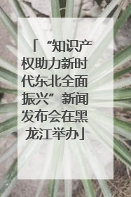 “知识产权助力新时代东北全面振兴”新闻发布会在黑龙江举办