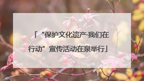 “保护文化遗产·我们在行动”宣传活动在泉举行
