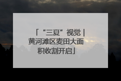 “三夏”视觉｜黄河滩区麦田大面积收割开启