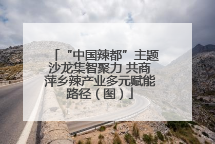 “中国辣都”主题沙龙集智聚力 共商萍乡辣产业多元赋能路径（图）