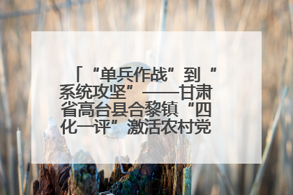 “单兵作战”到“系统攻坚”——甘肃省高台县合黎镇“四化一评”激活农村党员管理新引擎
