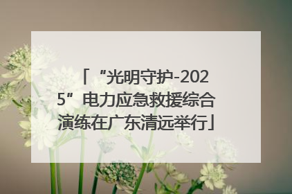 “光明守护-2025”电力应急救援综合演练在广东清远举行