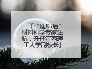 “准85后”材料科学专家汪航，升任江西理工大学副校长