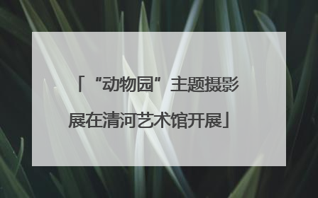 “动物园”主题摄影展在清河艺术馆开展