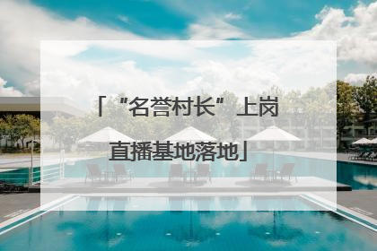 “名誉村长”上岗 直播基地落地