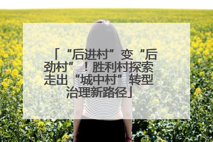 “后进村”变“后劲村”！胜利村探索走出“城中村”转型治理新路径