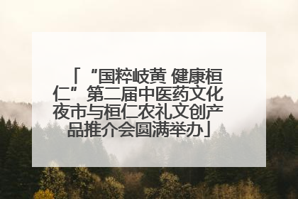 “国粹岐黄 健康桓仁”第二届中医药文化夜市与桓仁农礼文创产品推介会圆满举办