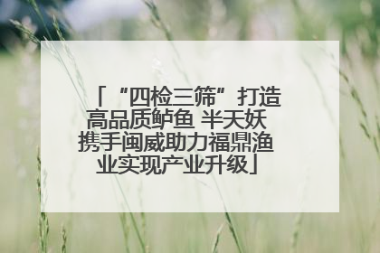 “四检三筛”打造高品质鲈鱼 半天妖携手闽威助力福鼎渔业实现产业升级