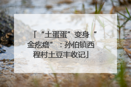 “土蛋蛋”变身“金疙瘩”：孙伯镇西程村土豆丰收记