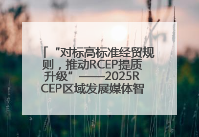 “对标高标准经贸规则，推动RCEP提质升级”——2025RCEP区域发展媒体智库论坛举行专题对话