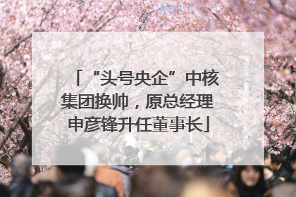 “头号央企”中核集团换帅，原总经理申彦锋升任董事长