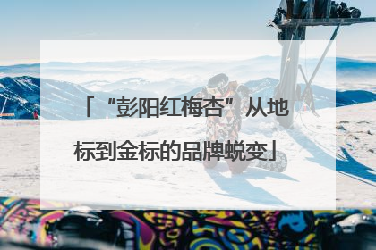 “彭阳红梅杏”从地标到金标的品牌蜕变