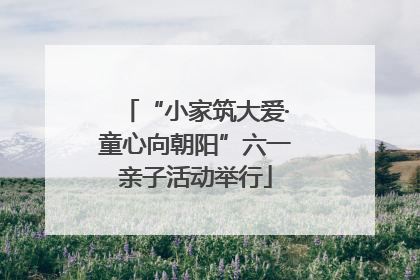 “小家筑大爱·童心向朝阳”六一亲子活动举行