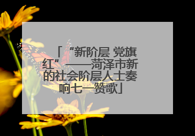 “新阶层 党旗红”——菏泽市新的社会阶层人士奏响七一赞歌