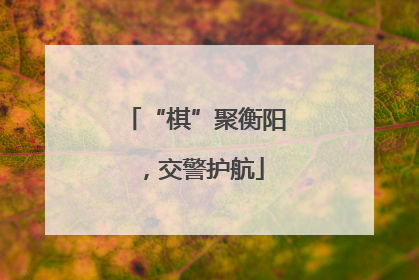“棋”聚衡阳，交警护航
