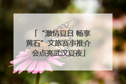 “激情夏日 畅享黄石”文旅赛事推介会点亮武汉夏夜