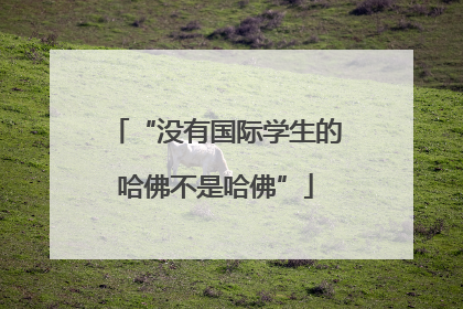 “没有国际学生的哈佛不是哈佛”