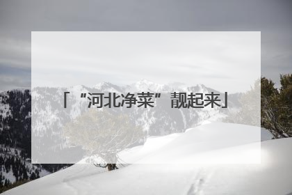 “河北净菜”靓起来