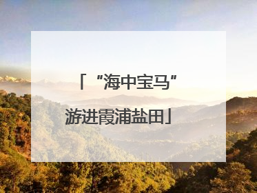 “海中宝马”游进霞浦盐田