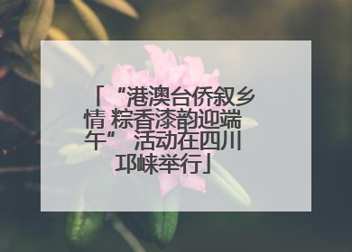 “港澳台侨叙乡情 粽香漆韵迎端午” 活动在四川邛崃举行