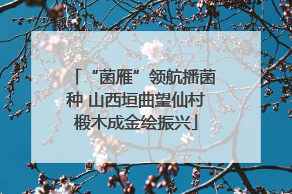 “菌雁”领航播菌种 山西垣曲望仙村椴木成金绘振兴