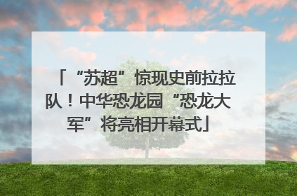 “苏超”惊现史前拉拉队！中华恐龙园“恐龙大军”将亮相开幕式