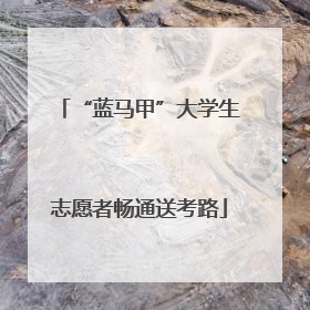 “蓝马甲”大学生志愿者畅通送考路
