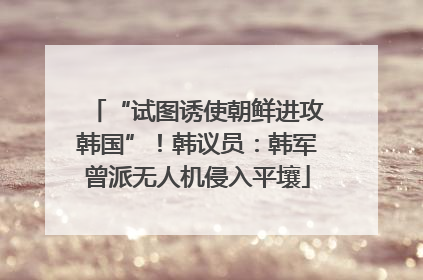 “试图诱使朝鲜进攻韩国”！韩议员：韩军曾派无人机侵入平壤