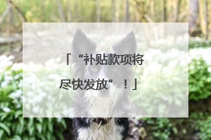 “补贴款项将尽快发放”！