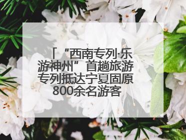 “西南专列·乐游神州”首趟旅游专列抵达宁夏固原 800余名游客开启清凉之旅