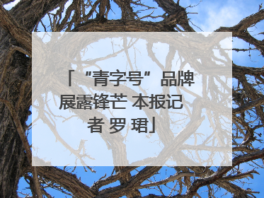 “青字号”品牌展露锋芒 本报记者 罗 珺