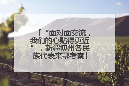 “面对面交流，我们的心贴得更近”，新疆博州各民族代表来鄂考察