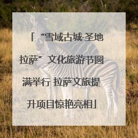 “雪域古城·圣地拉萨”文化旅游节圆满举行 拉萨文旅提升项目惊艳亮相