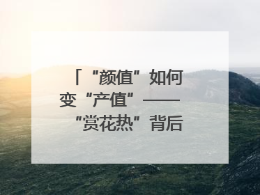 “颜值”如何变“产值”——“赏花热”背后的产业图谱