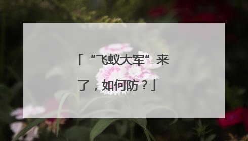 “飞蚁大军”来了，如何防？