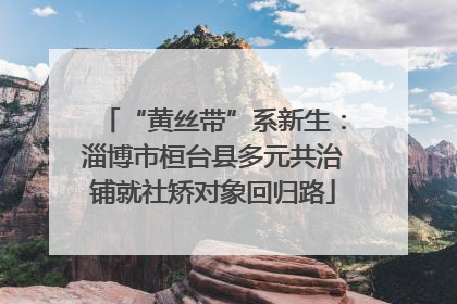“黄丝带”系新生：淄博市桓台县多元共治铺就社矫对象回归路