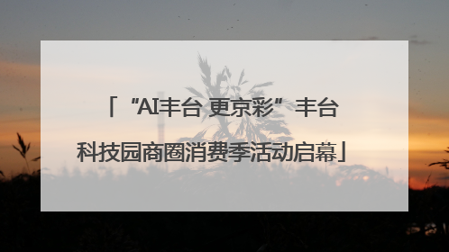 “AI丰台 更京彩”丰台科技园商圈消费季活动启幕