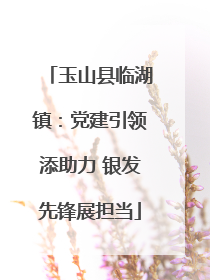 玉山县临湖镇：党建引领添助力 银发先锋展担当