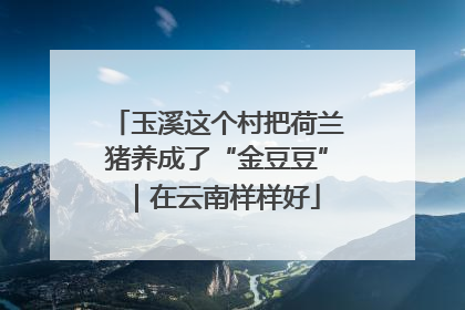玉溪这个村把荷兰猪养成了“金豆豆”｜在云南样样好