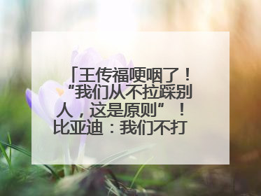 王传福哽咽了！“我们从不拉踩别人，这是原则”！比亚迪：我们不打价格战
