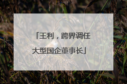 王利，跨界调任大型国企董事长