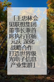 王忠林会见联想集团董事长兼首席执行官杨元庆 深化战略合作 打造世界级光电子信息产业集群