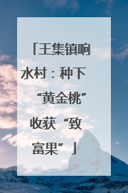 王集镇响水村：种下“黄金桃” 收获“致富果”