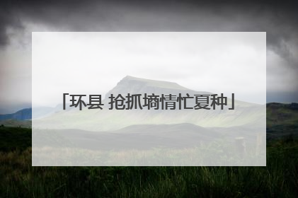 环县 抢抓墒情忙夏种