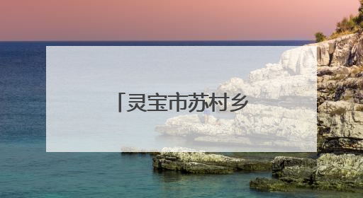 灵宝市苏村乡：做强做优特色农业产业