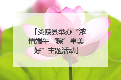 炎陵县举办“浓情端午‘粽’享美好”主题活动